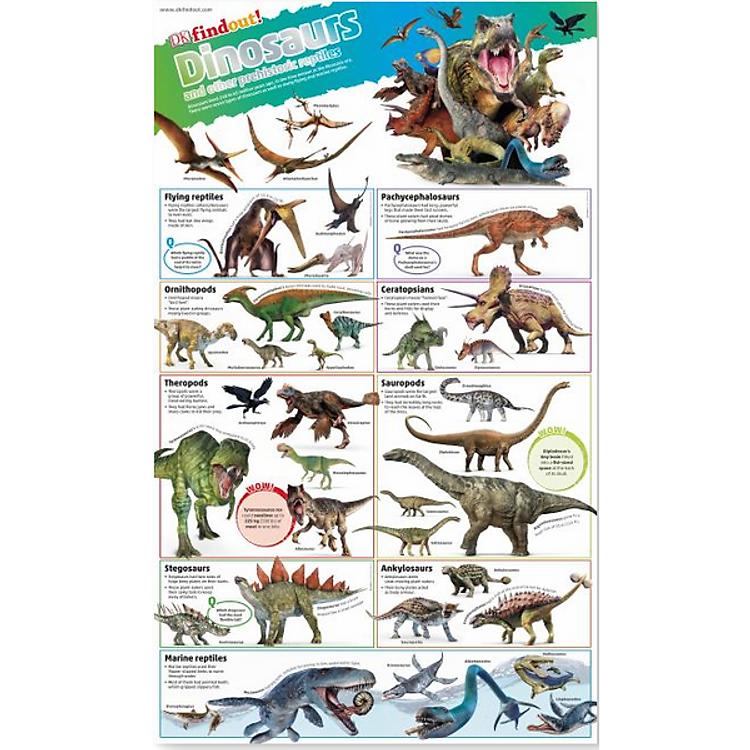 Sách DKfindout! Dinosaurs Poster
