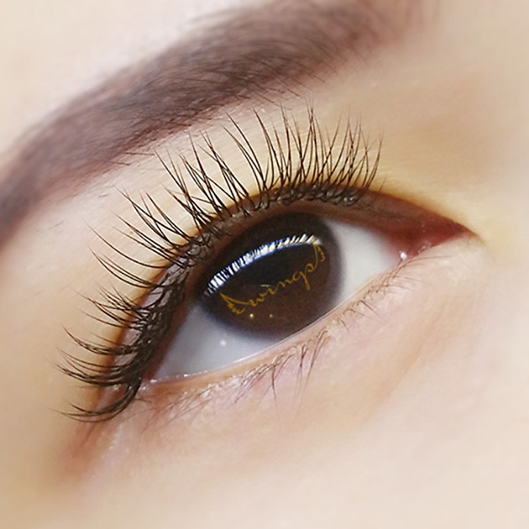 Nối Mi Cơ Bản Natural 1D và Volume 2D