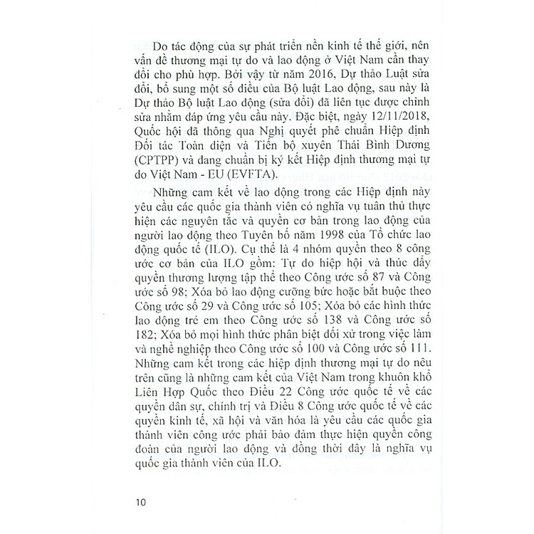 Những Nội Dung Mới Của Bộ Luật Lao Động Năm 2019 - Ảnh 7
