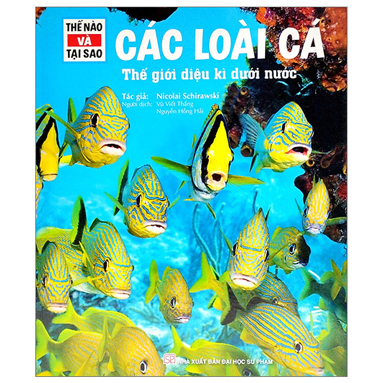 Thế Nào Và Tại Sao - Các Loài Cá - Thế Giới Diệu Kì Dưới Nước - Bìa Cứng (Tái Bản 2023)
