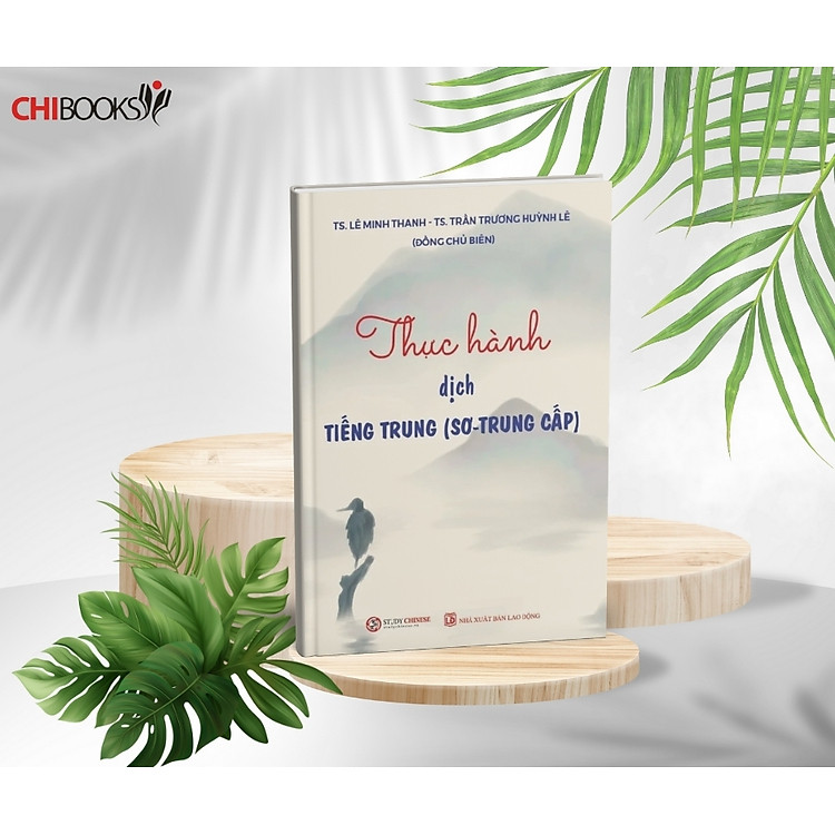 Thực hành dịch tiếng trung (sơ - trung cấp)