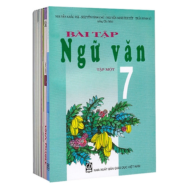 Sách Giáo Khoa Bộ Lớp 7 - Sách Bài Tập (Bộ 6 Cuốn) (2021)