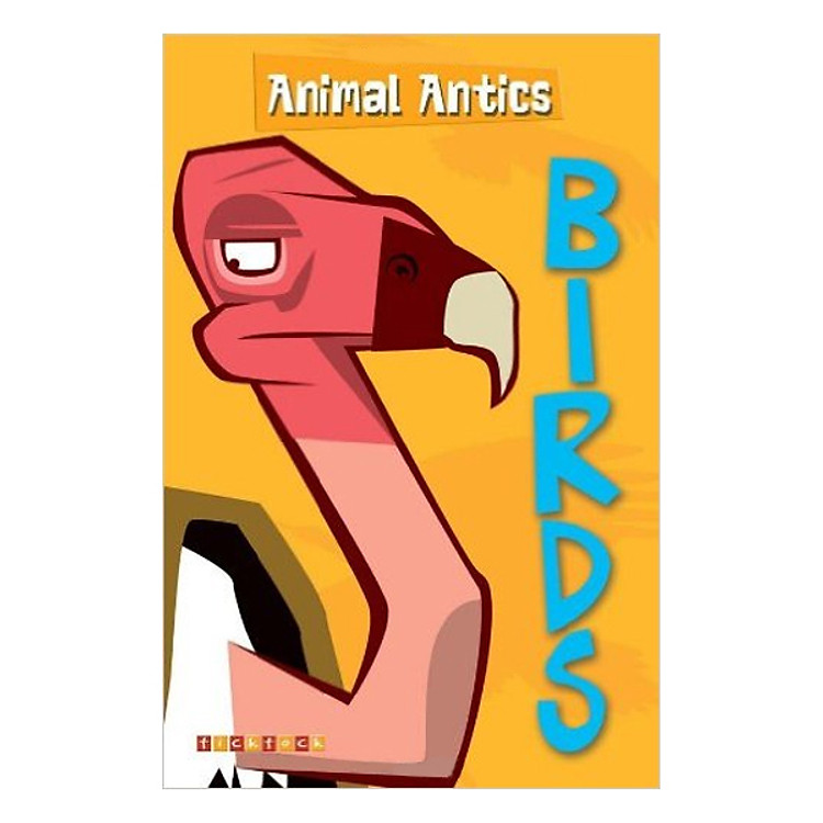Sách Animal Antics: Birds - Paperback