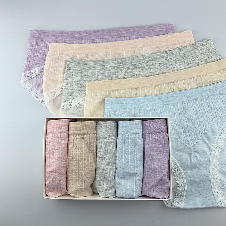 Hộp 5 quần lót nữ maitoshi-9901 Chất Liệu 95%cotton 5%spandex Chống xù mềm mại