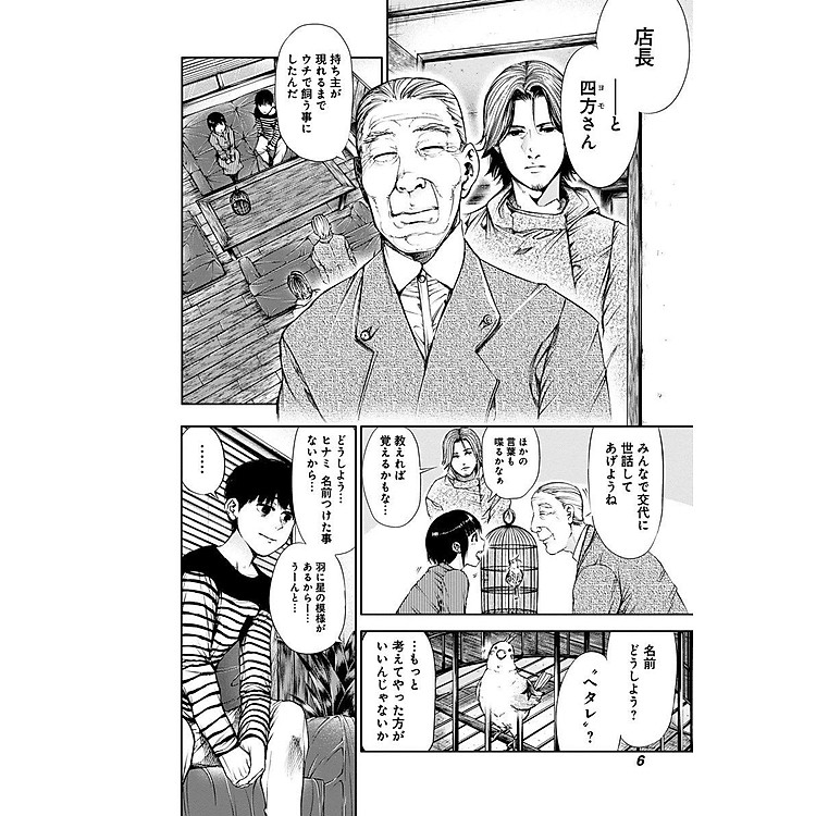 Tokyo Ghoul 5 (Japanese Edition) - Ảnh 7