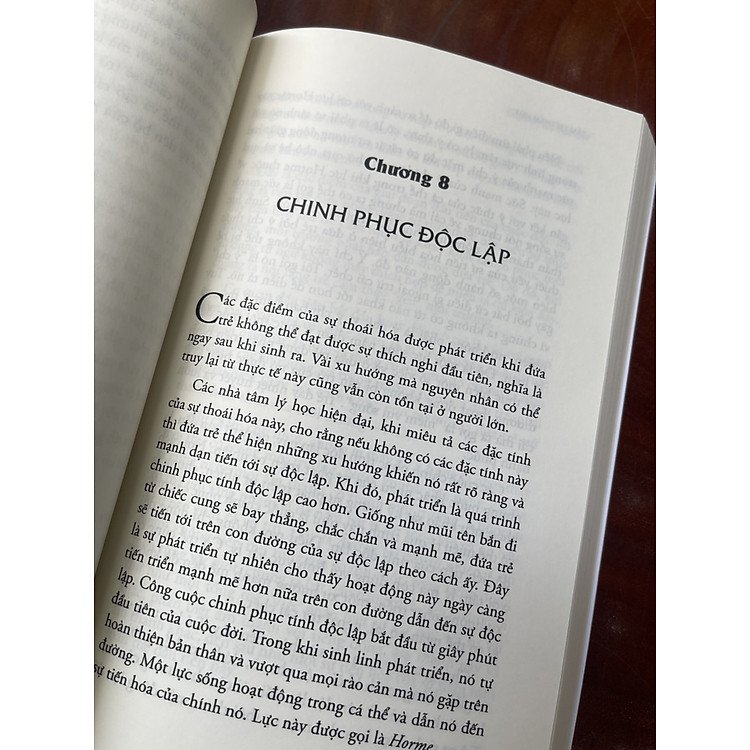 TÂM TRÍ THẤM HÚT - Maria Montessori - Ảnh 4