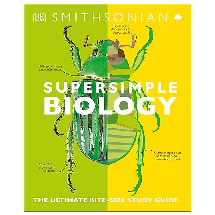 Biology: The Ultimate Bitesize Study Guide (Supersimple)