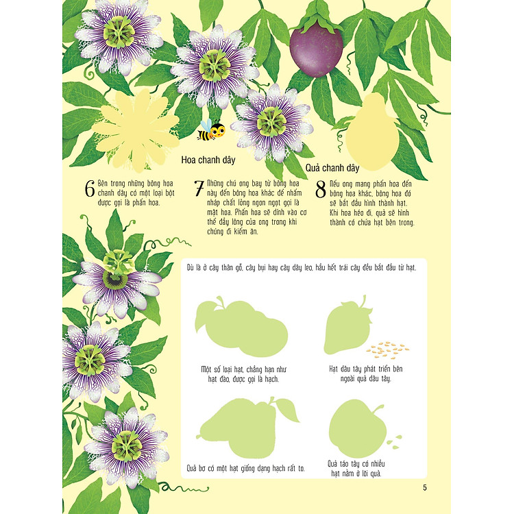 First Sticker Book - Sách Dán Hình Đầu Đời Cho Bé - Trái Cây Và Rau Củ - Ảnh 5