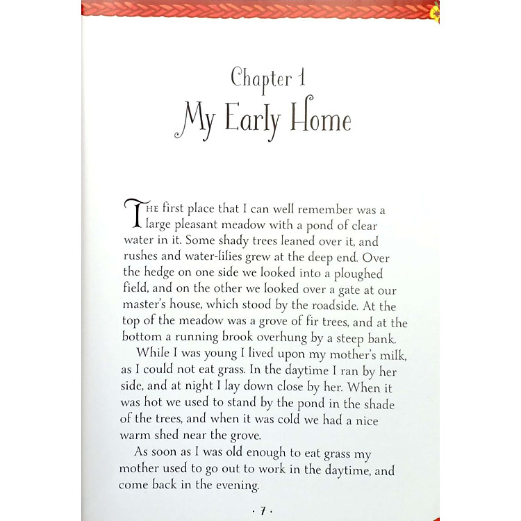 Mini Classics - Black Beauty - Ảnh 3