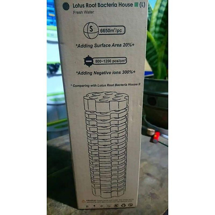 Sứ Củ Sen Mountain Tree Thế Hệ 3 - Size 25cm x 8cm ( 1Thùng 12 Thanh)