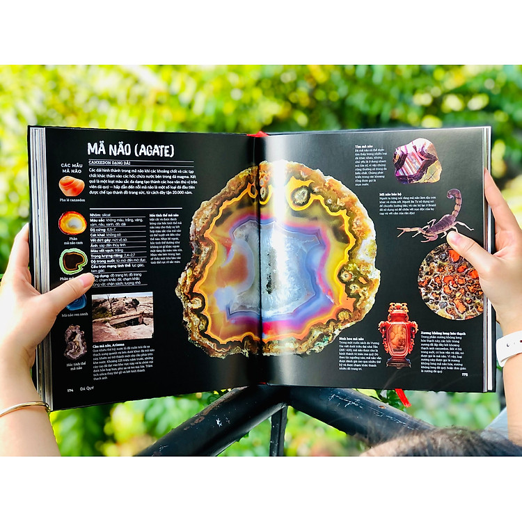 Bách Khoa Toàn Thư - Đá Quý Và Khoáng Sản - Ảnh 3