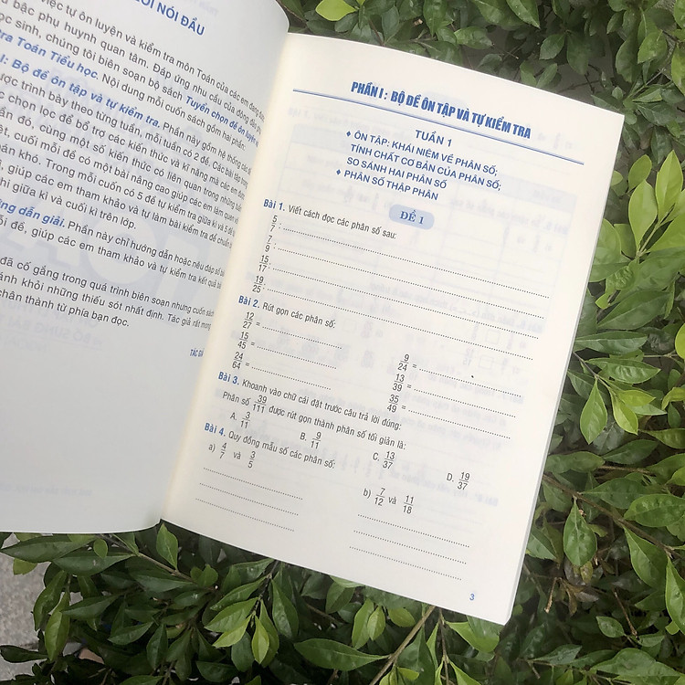 Tuyển Chọn Đề Ôn Luyện Và Tự Kiểm Tra Toán Lớp 5 - Ảnh 4