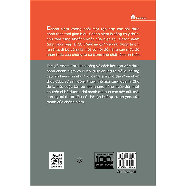 Chánh Niệm Từng Phút Giây - Bước Chậm Lại Giữ Hiện Tại Trong Ta - Ảnh 2
