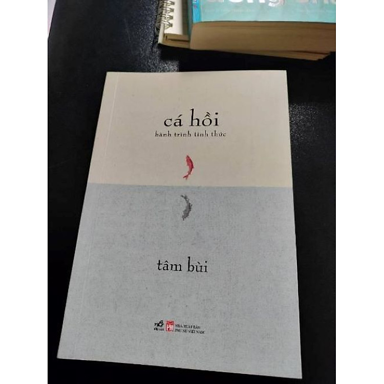 Cá hồi: Hành trình tỉnh thức - Ảnh 3