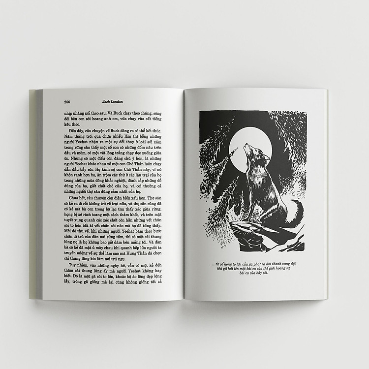 Tiếng Gọi Của Hoang Dã - Ảnh 3