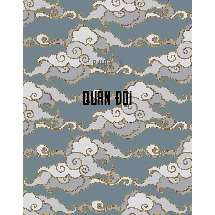 Quân đội Tây Sơn: Lịch sử bằng hình ảnh - Ảnh 2