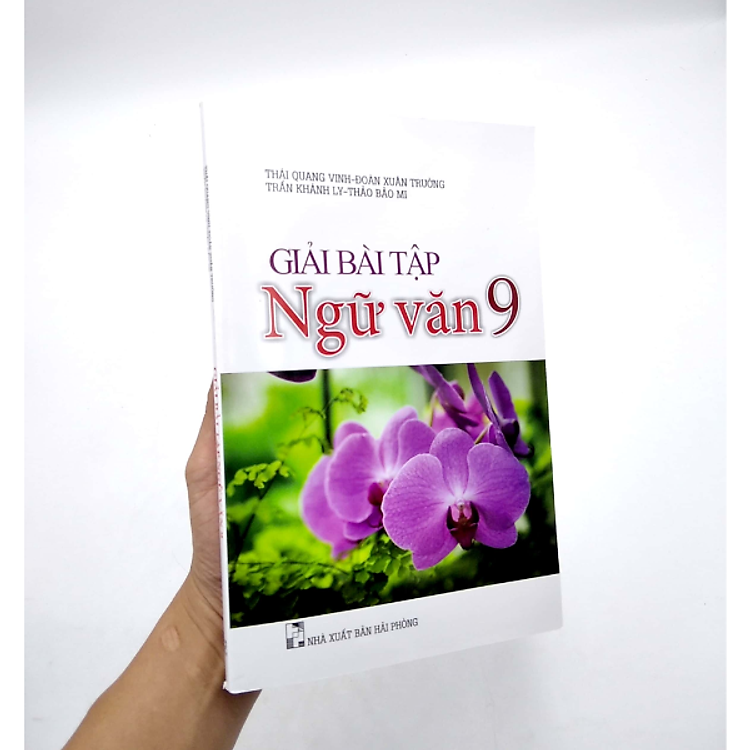 Giải Bài Tập Ngữ Văn 9 (Tái Bản 2020) - Ảnh 3