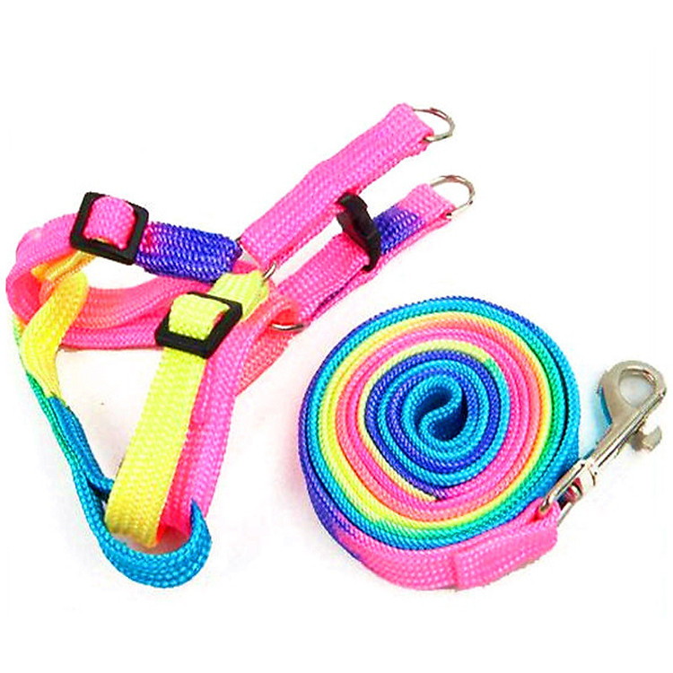 Dây Dắt Nhiều Màu Cho Thú Cưng