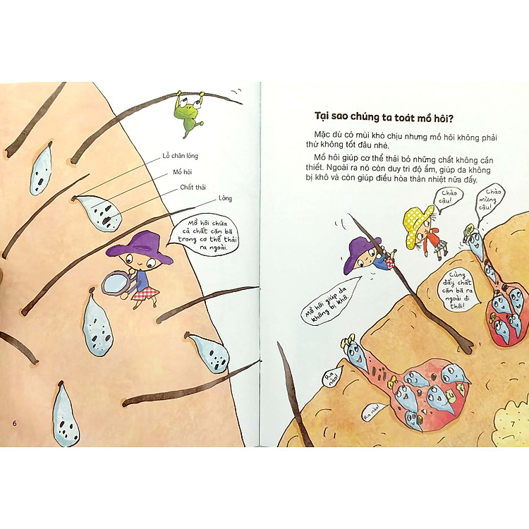 Mùi Gì Thế Nhỉ? - Mồ Hôi - Ảnh 6