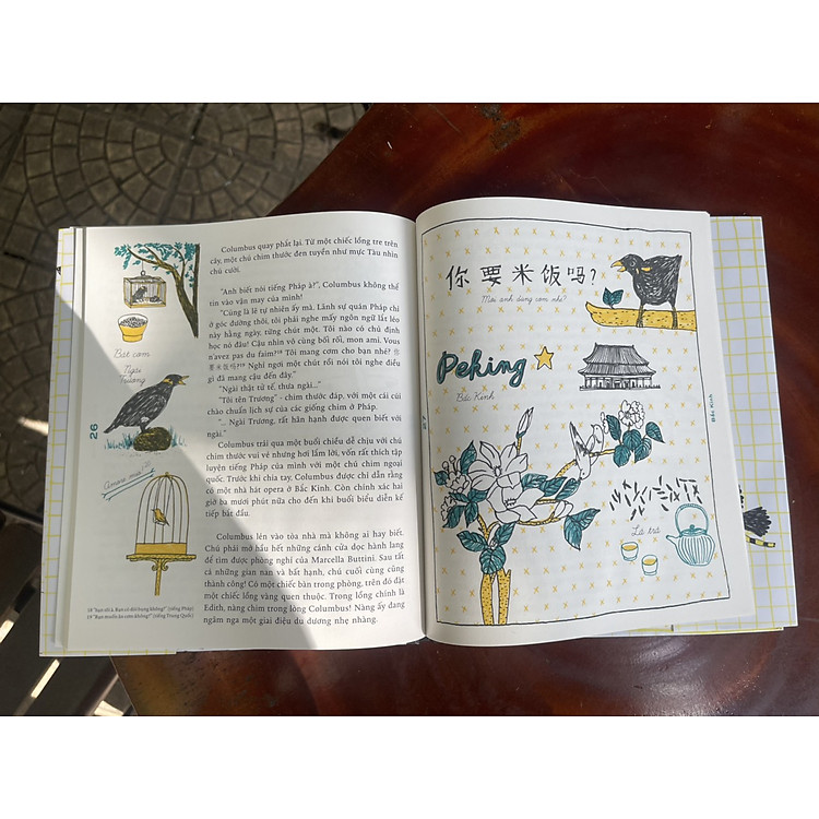 COLUMBUS – HÀNH TRÌNH TÌM KIẾM YÊU THƯƠNG - Ảnh 4