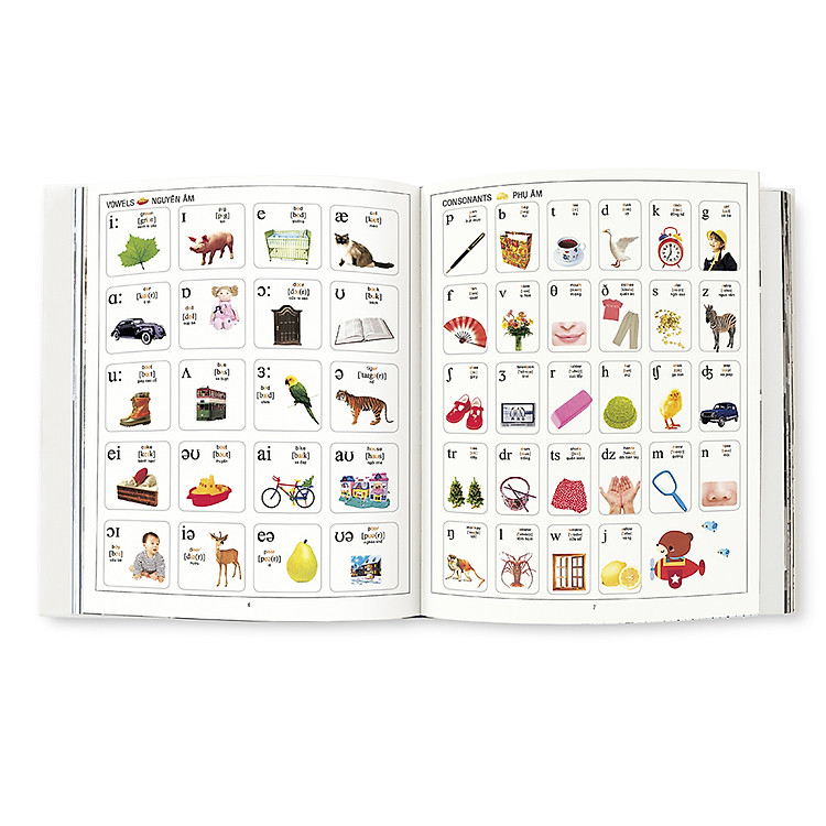 1000 Từ Tiếng Anh Đầu Tiên - My First 1000 Words - Tái Bản - Ảnh 3