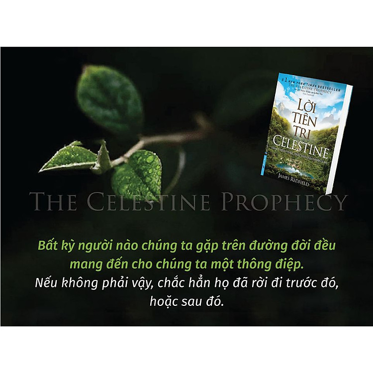 Lời Tiên Tri Celestine (FN) - Ảnh 4