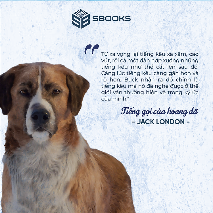 Tiếng Gọi Của Hoang Dã - Ảnh 6