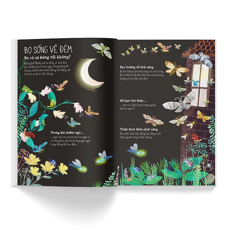 Sách - A Lê Hấp! Thế Giới Bọ - Ảnh 3