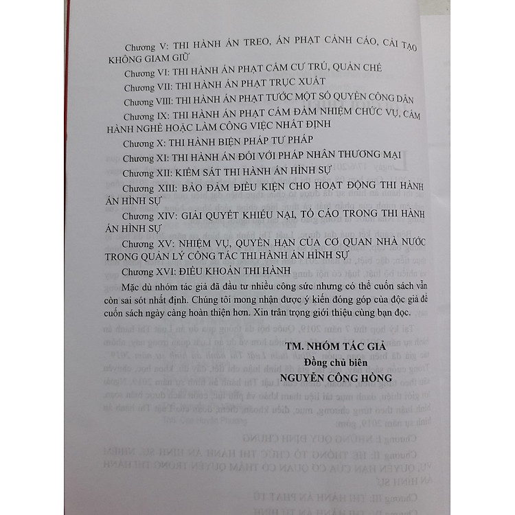 Bình luận Luật Thi Hành Án Hình Sự Năm 2019 - Ảnh 3