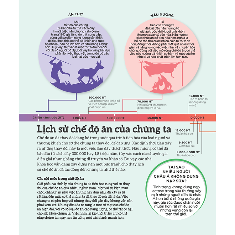 How Food Works - Hiểu Hết Về Thức Ăn - Ảnh 5
