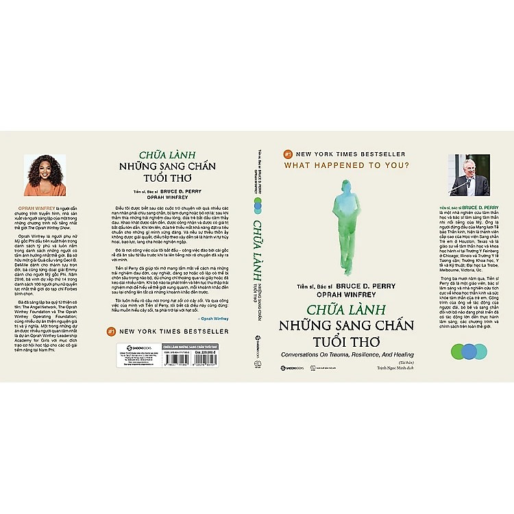 Chữa Lành Những Sang Chấn Tuổi Thơ - Ảnh 3