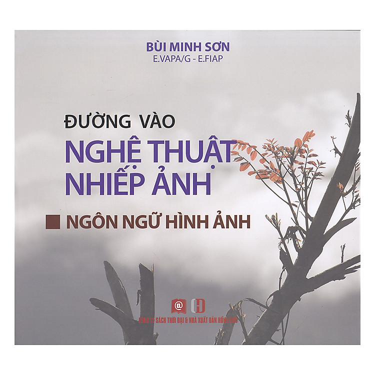 Sách Đường Vào Nghệ Thuật Nhiếp Ảnh - Ngôn Ngữ Hình Ảnh