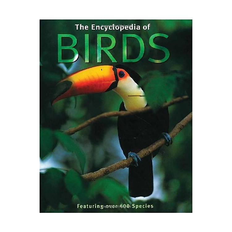 The Encyclopedia Of Birds S08971