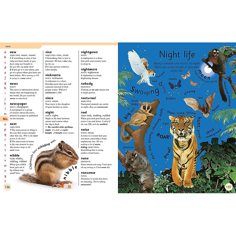 First Children's Dictionary: A First Reference Book For Children - Ảnh 5