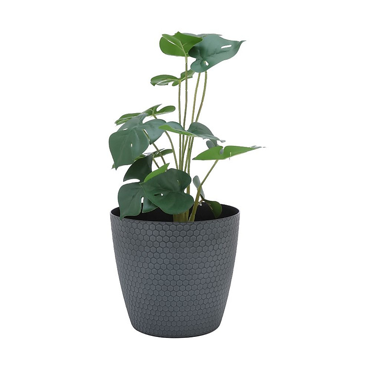 Chậu trồng cây bằng nhựa PP SANDORA, màu đen, 20x22x20 cm | Index Living Mall - Phân phối độc quyền tại Việt Nam