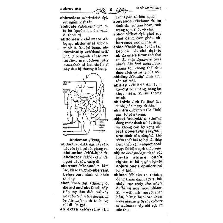 Từ Điển Anh - Việt (Trên 350.000 Từ) - Ảnh 2