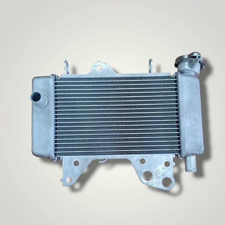 Két nước làm mát dành cho xe WINNER 150 - TKB8652