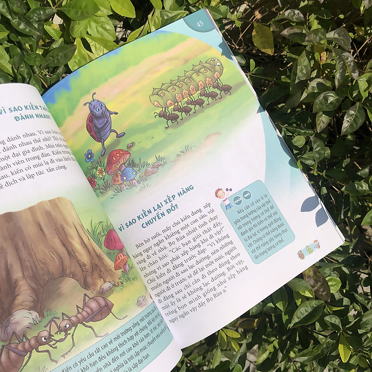 10 Vạn Câu Hỏi Vì Sao - Động Vật Trên Cạn Và Dưới Nước - Ảnh 6