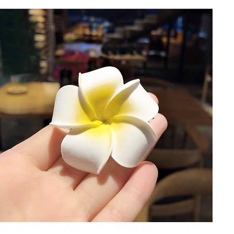 sỉ kẹp hoa sứ cực xinh