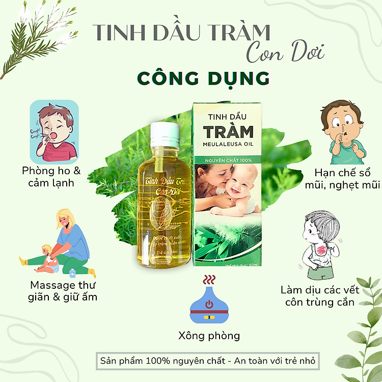 Tinh dầu tràm Con Dơi nguyên chất Chính hãng Ưu đãi - Hình ảnh 3