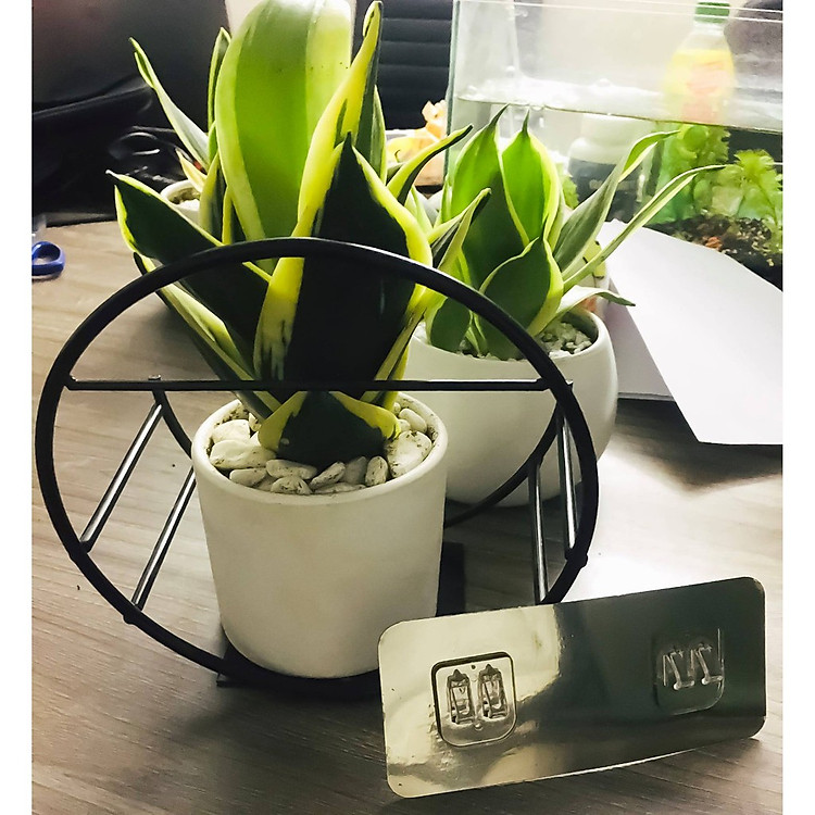 Kệ Treo Trang Trí Hình Bán Nguyệt Dán Tường (1 chiếc) - Ảnh 4