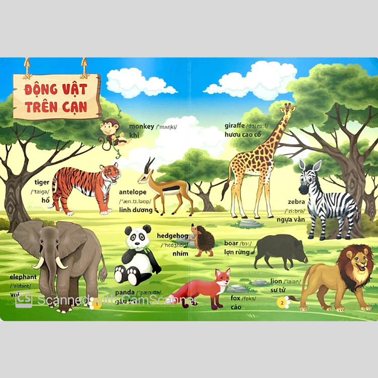 Từ Điển Phát Triển Ngôn Ngữ Bằng Hình Dành Cho Trẻ Mầm Non - Ảnh 3