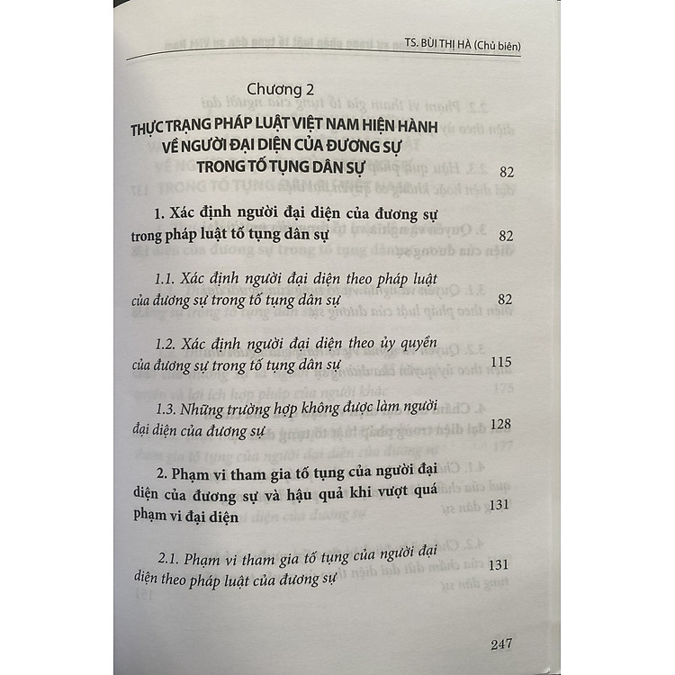 Người Đại Diện Của Dương Sự Trong Pháp Luật Tố Tụng Dân Sự Việt Nam - Ảnh 7