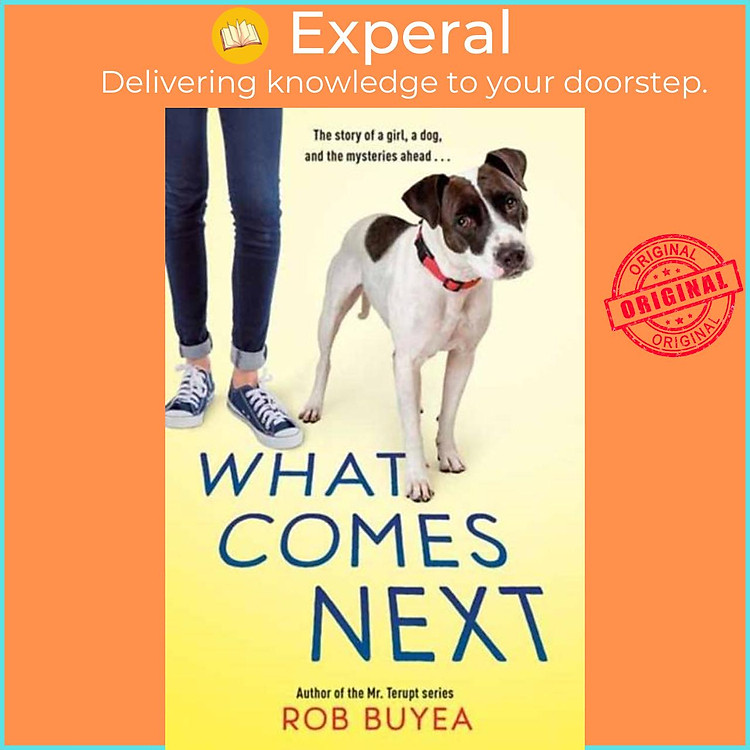 Sách - What Comes Next by Rob Buyea (UK edition, paperback)