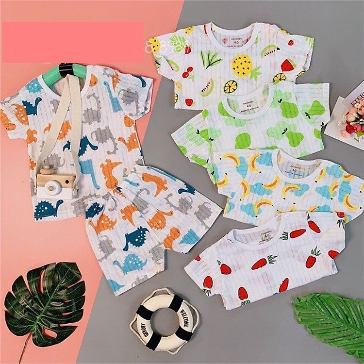 set 5 bộ cộc tay khuy vai chất cotton giấy cho bé