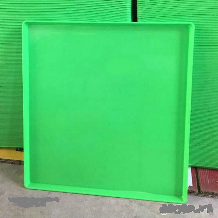 Combo 50 máng hứng phân cho chim bồ câu