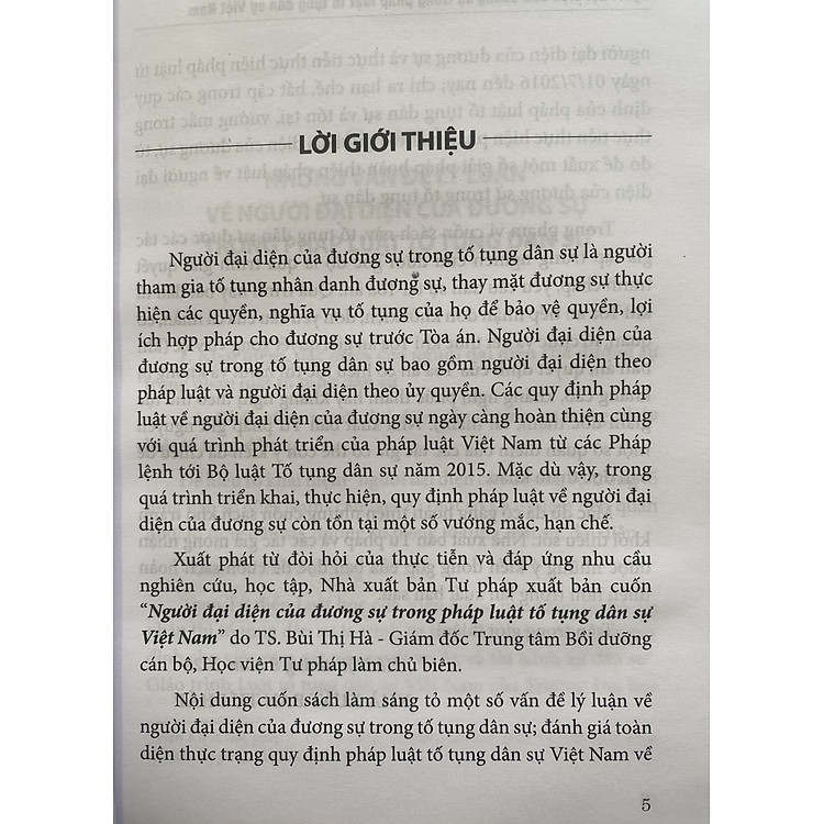 Người Đại Diện Của Dương Sự Trong Pháp Luật Tố Tụng Dân Sự Việt Nam - Ảnh 3
