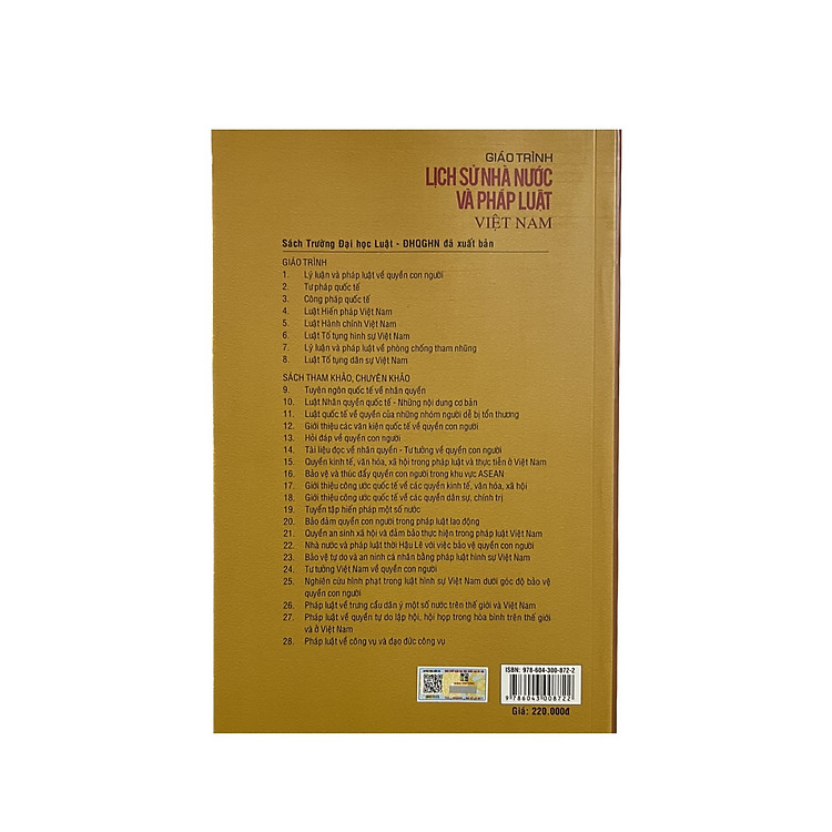 Giáo Trình Lịch Sử Nhà Nước Và Pháp Luật Việt Nam - Ảnh 2