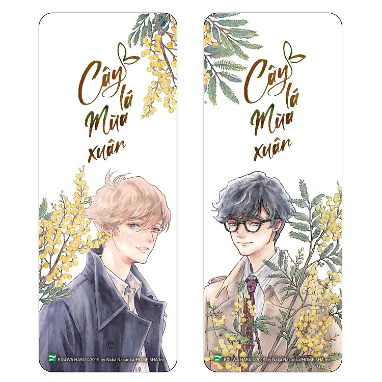 Boxset Tulip x Mimosa - Mầm Cây Xao Động + Cây Lá Mùa Xuân - Ảnh 6