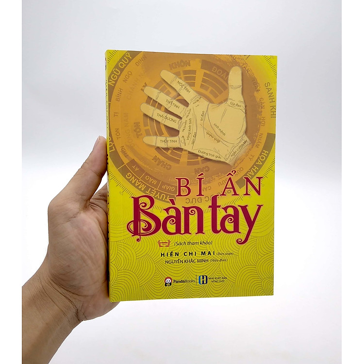 Bí Ẩn Bàn Tay - Ảnh 6